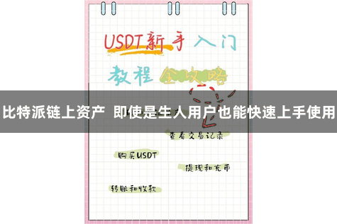 比特派链上资产  即使是生人用户也能快速上手使用